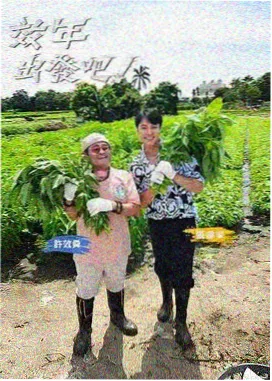 龙部落电影网资讯:访谈综艺提问节奏拆解